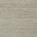 MARANTA ARROWROOT - Grey