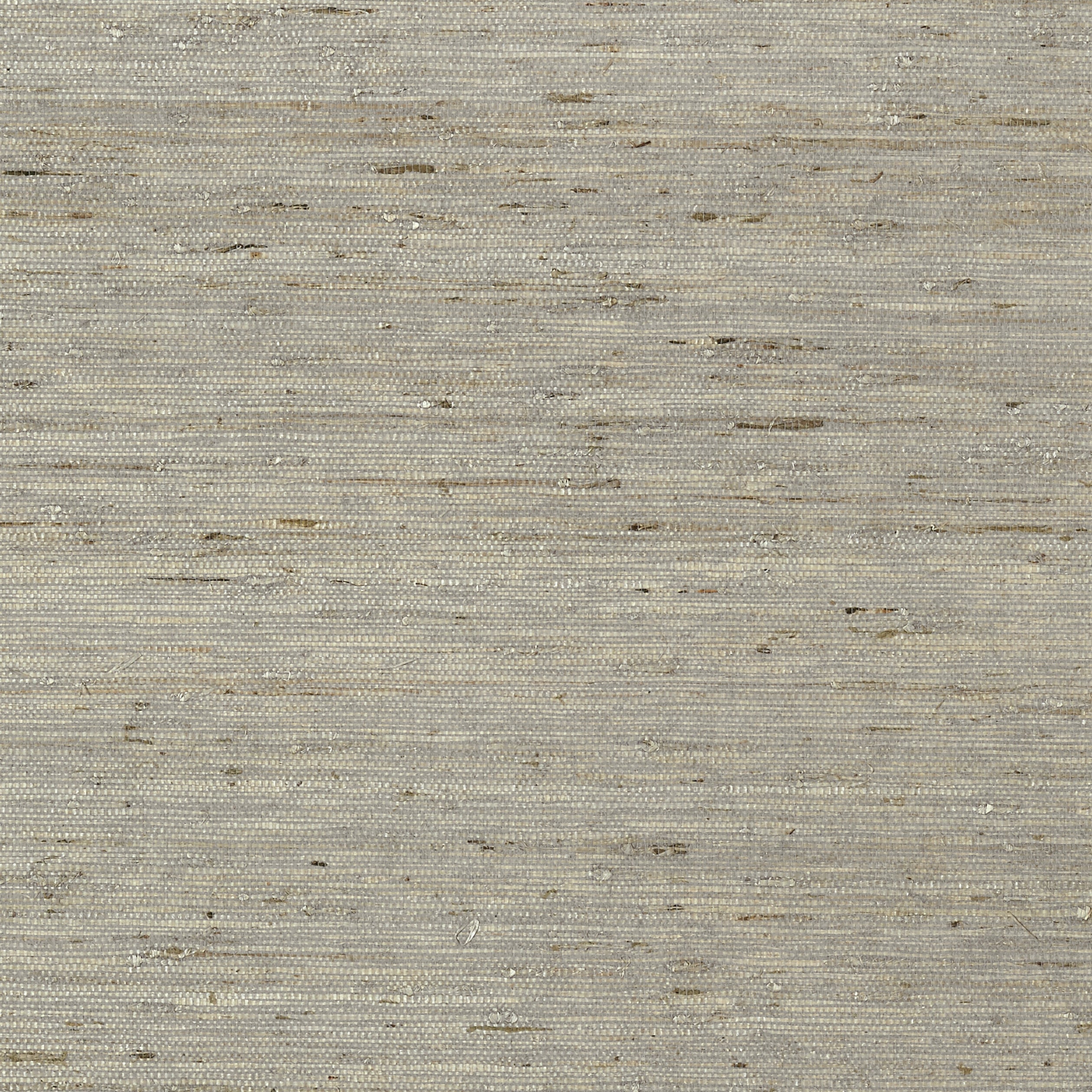 MARANTA ARROWROOT - Grey