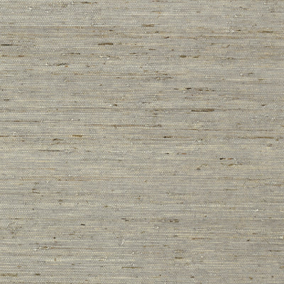 MARANTA ARROWROOT - Grey