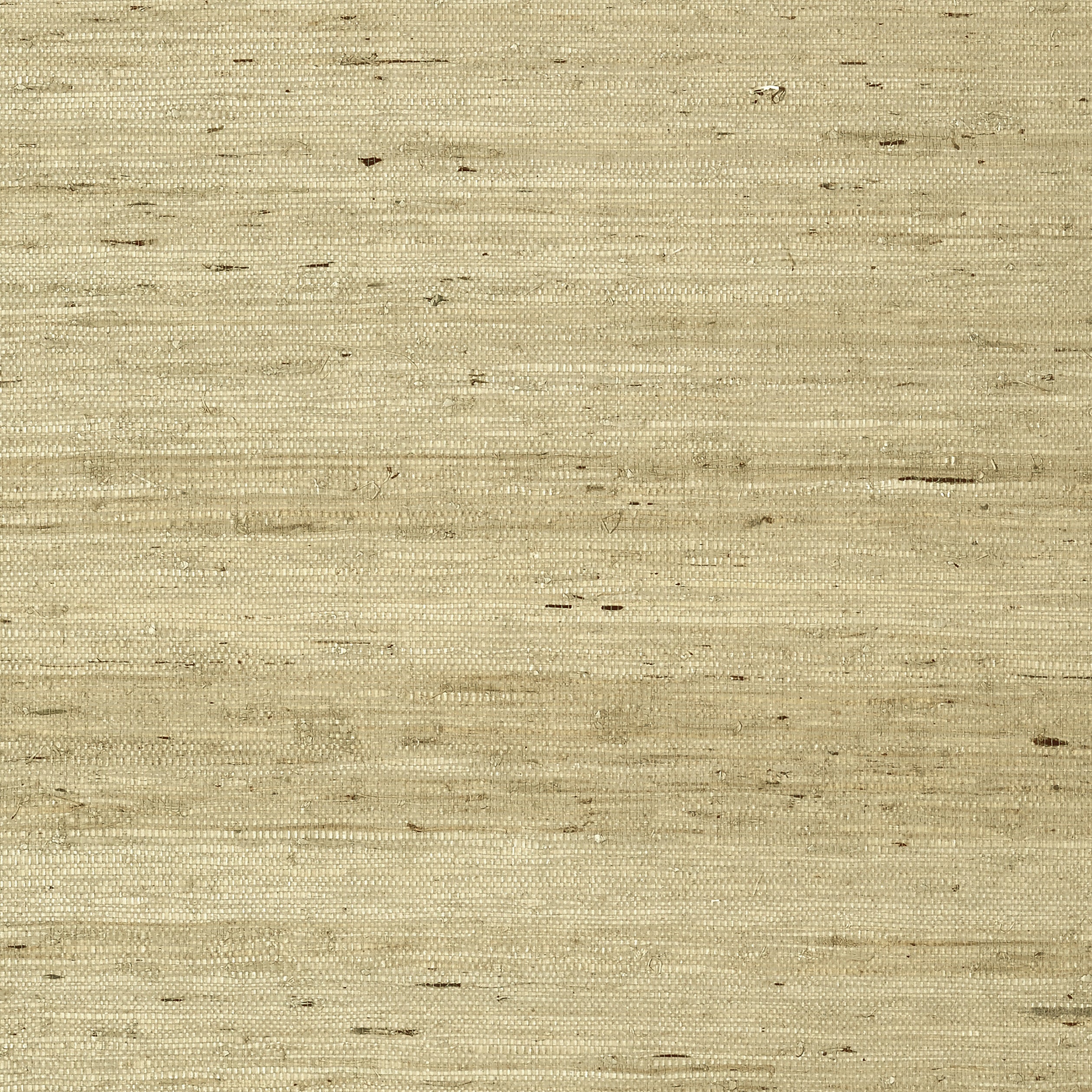 MARANTA ARROWROOT - Beige