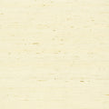 MARANTA ARROWROOT - Cream