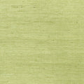 MARANTA ARROWROOT - Green
