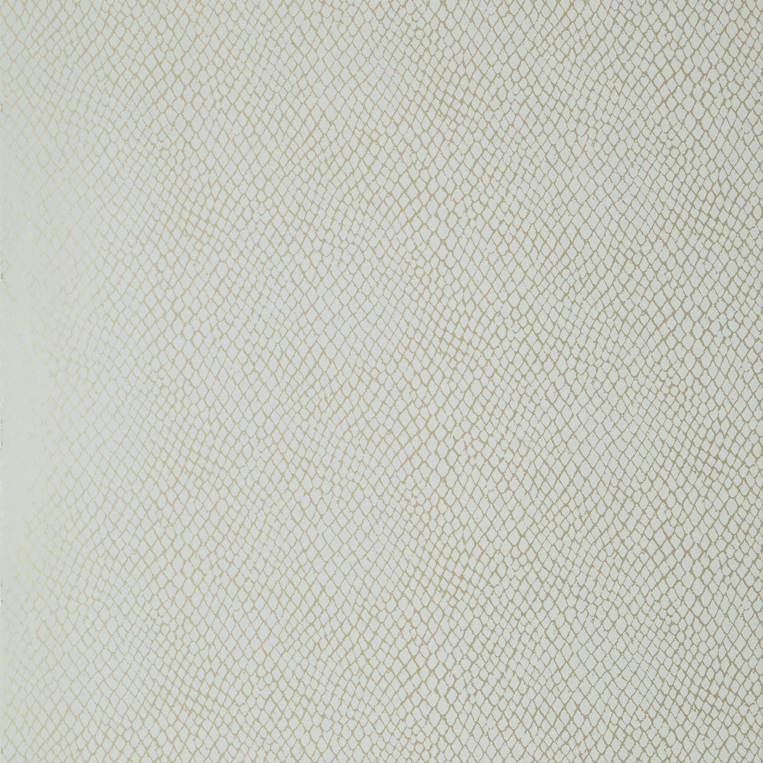 YUMA - Aqua on Metallic Silver