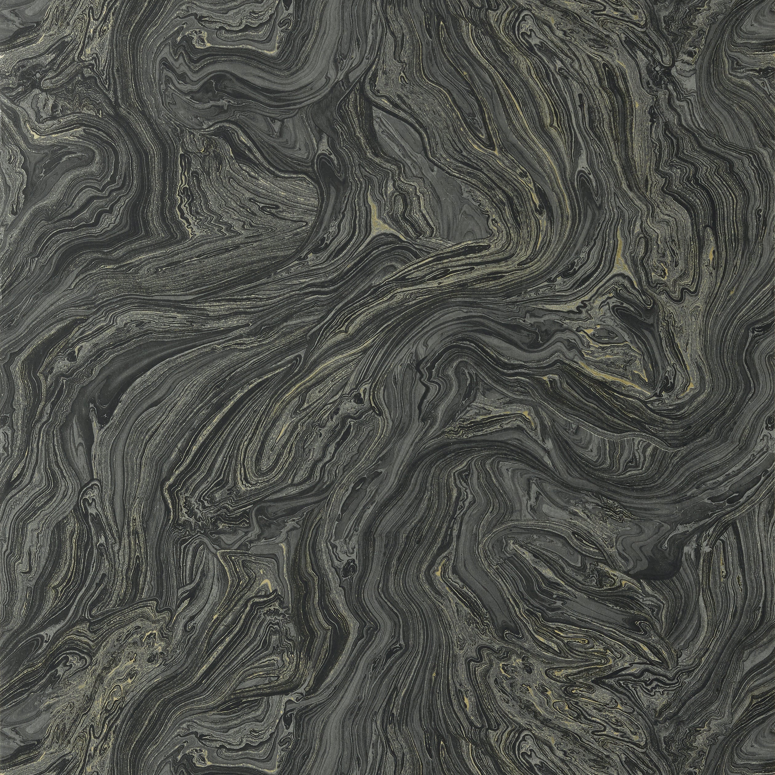 VENUS - Black