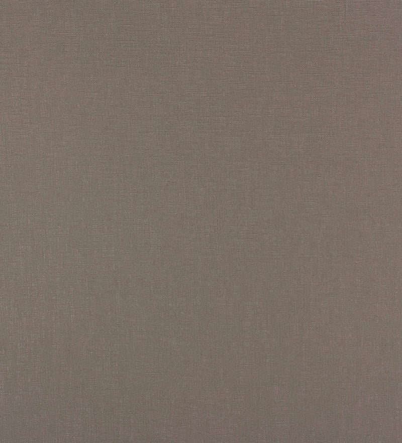 TER004 (Terra)
