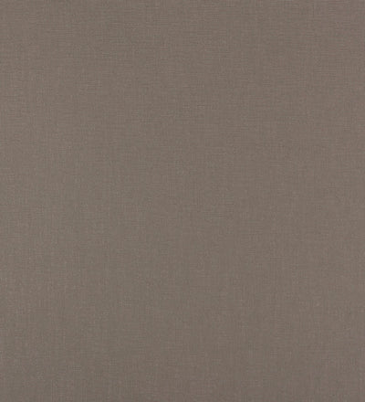 TER004 (Terra)