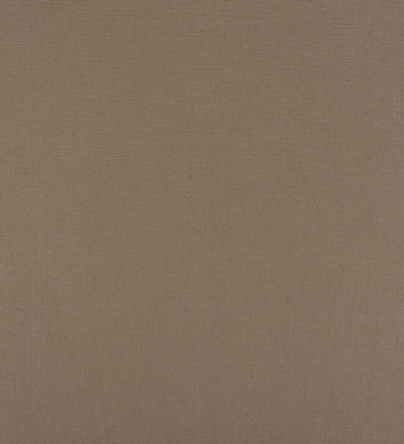 TER005 (Terra)