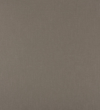 TER008 (Terra)