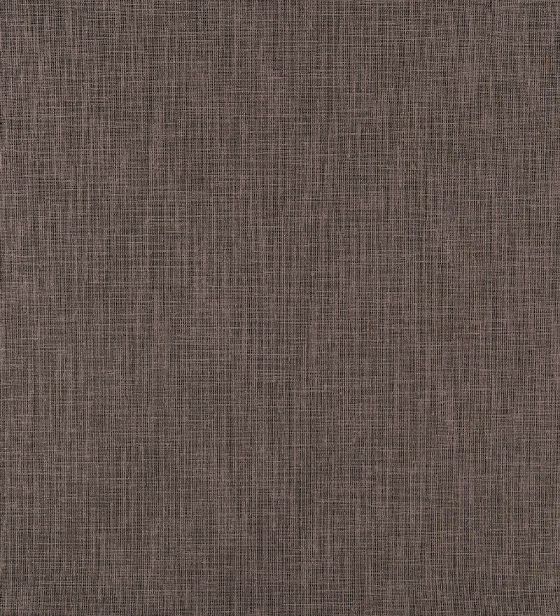 TER104 (Terra)