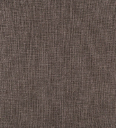 TER104 (Terra)