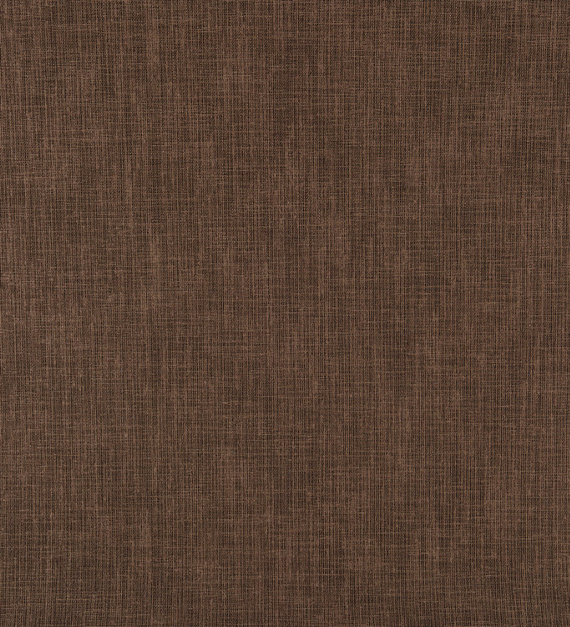 TER105 (Terra)