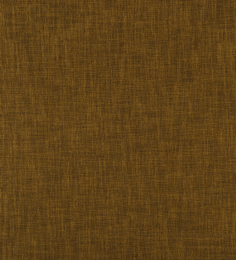 TER106 (Terra)