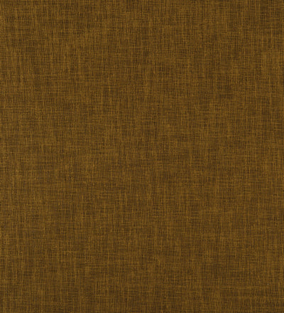 TER106 (Terra)