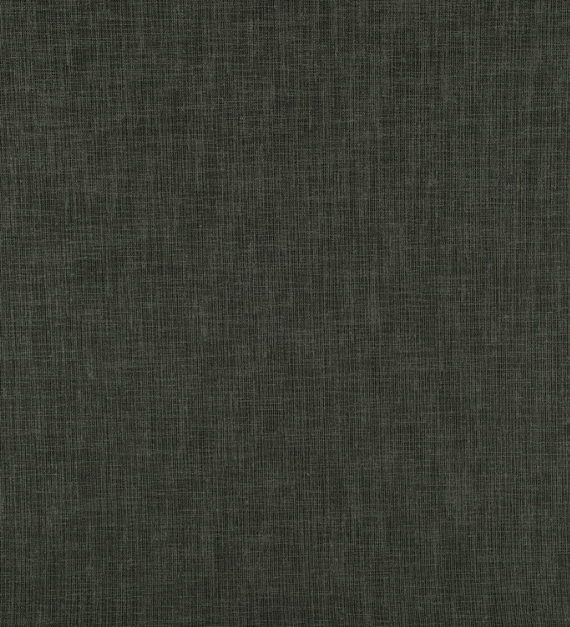 TER107 (Terra)
