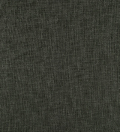 TER107 (Terra)