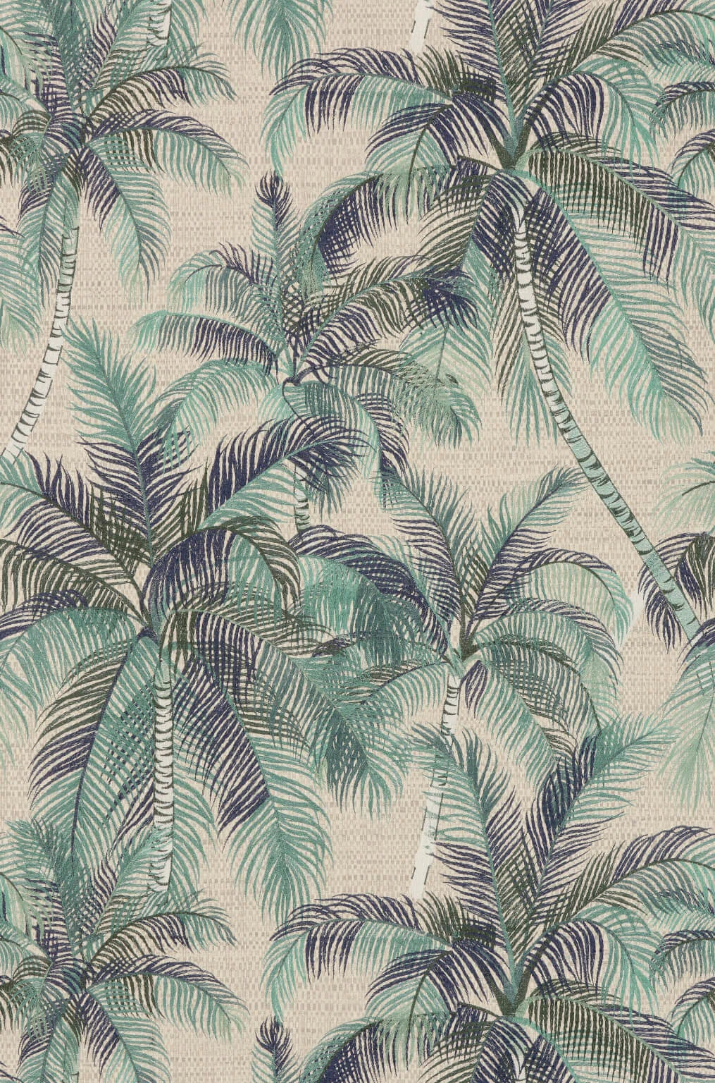 Tampa Jungle - Rendez-Vous