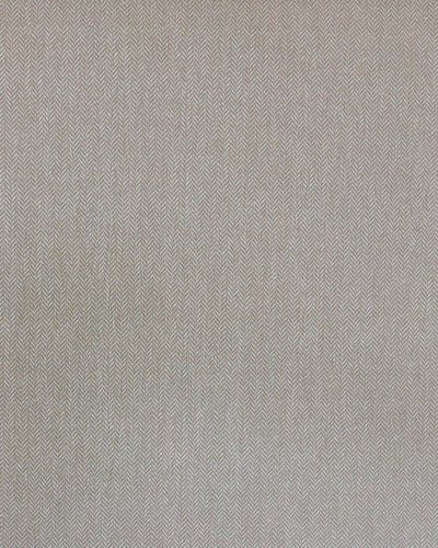 TRN005 (Trench)