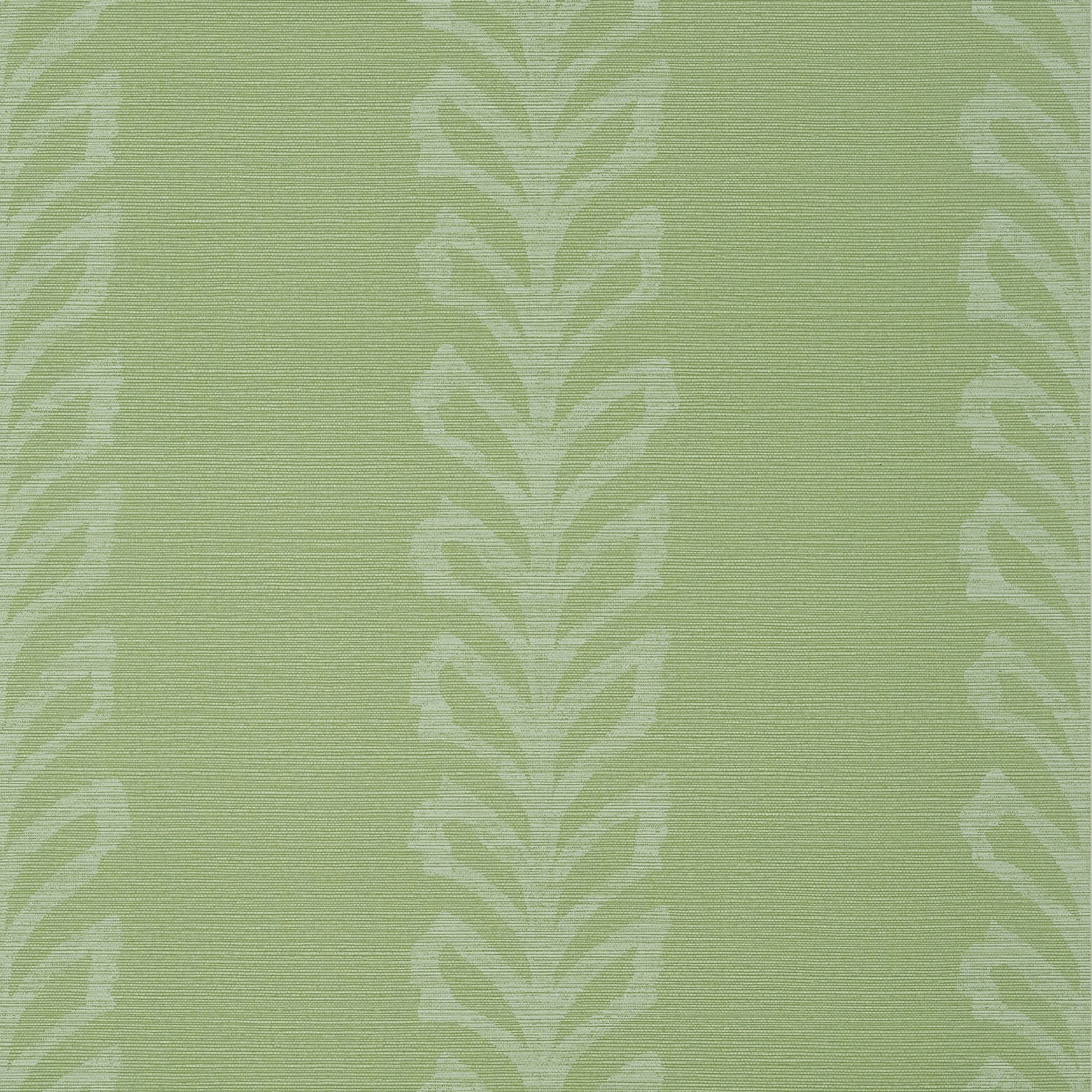 EVIA WIDE WIDTH - Spring and White