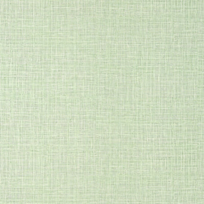 FINE HARVEST WIDE WIDTH - Mint
