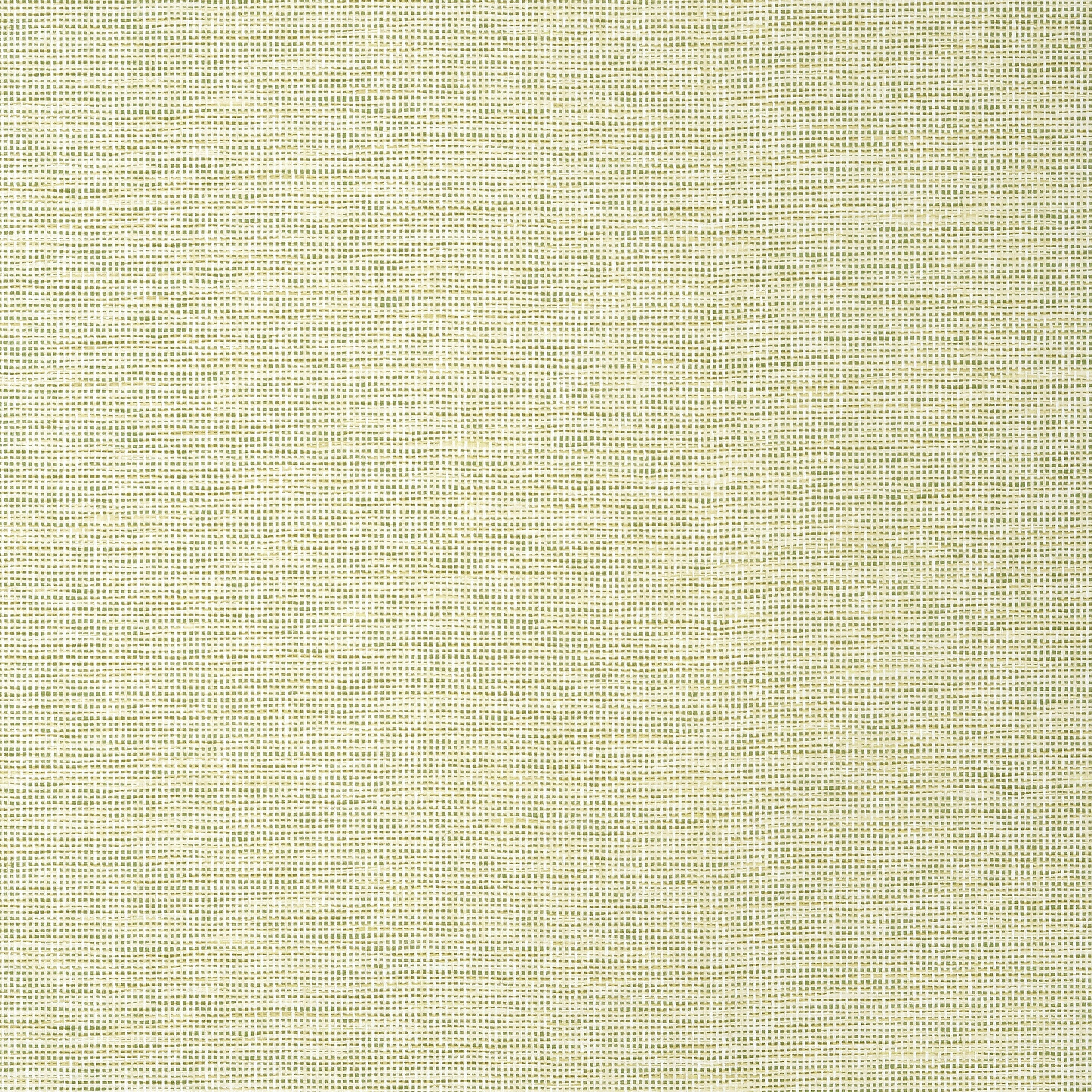 SPIRO WIDE WIDTH - Spring