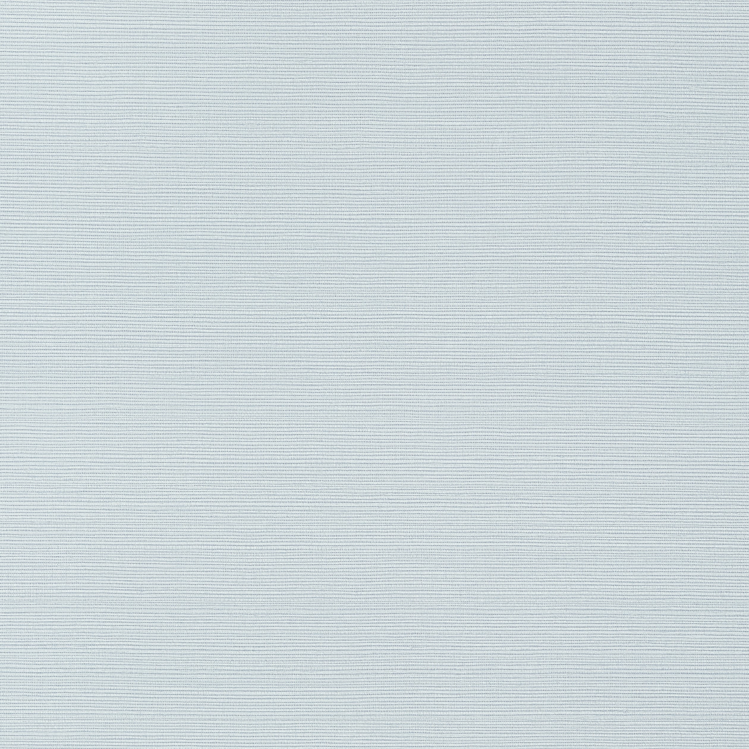TALUK SISAL WIDE WIDTH - Ice