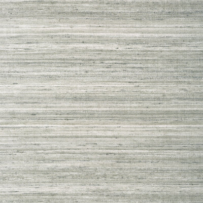 WILD SILK WIDE WIDTH - Charcoal on Metallic Silver