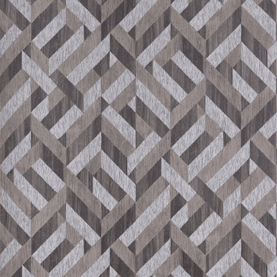 BRISTLECONE WIDE WIDTH - Grey