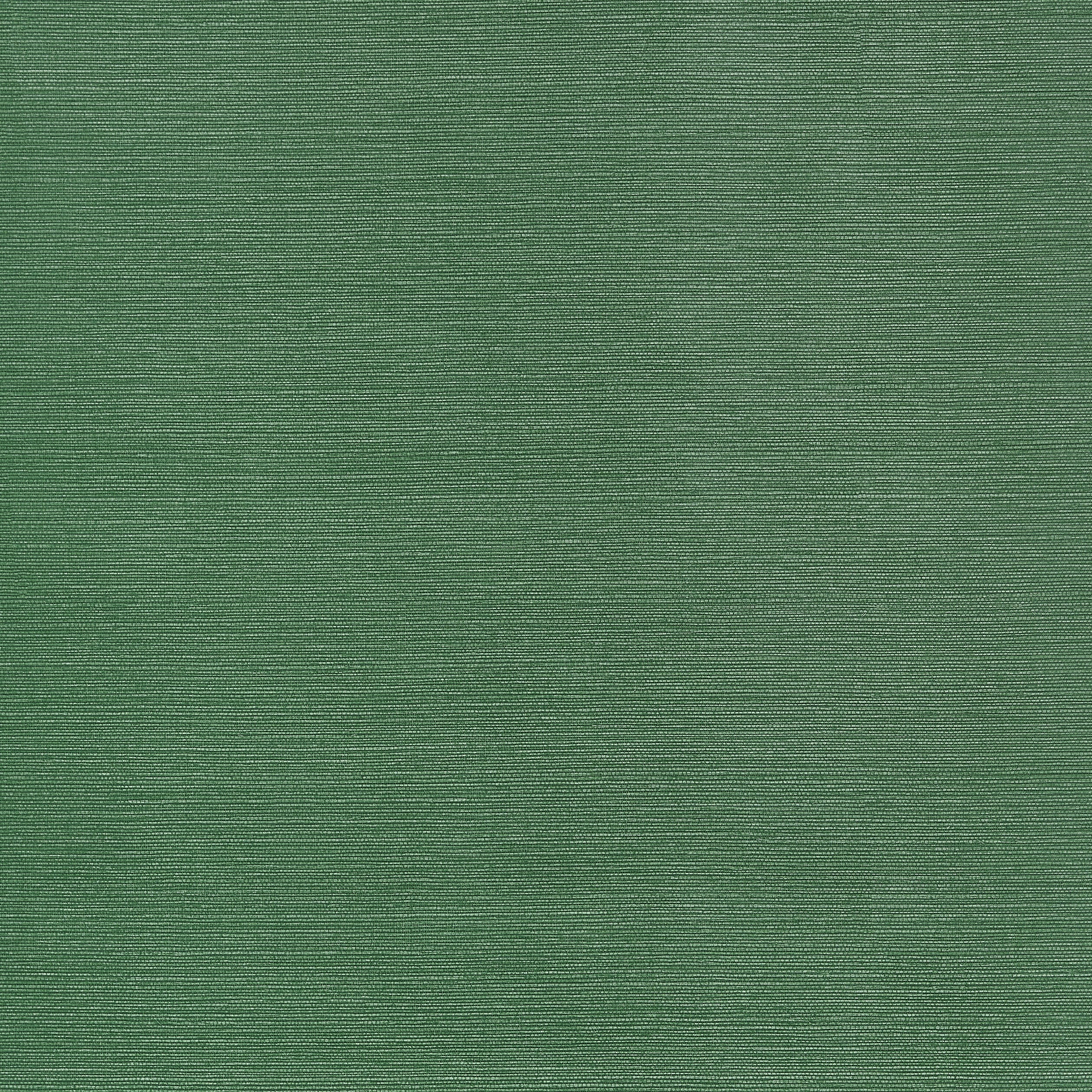 TALUK SISAL WIDE WIDTH - Forest Green