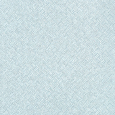 SADDLE WEAVE WIDE WIDTH - Powder Blue