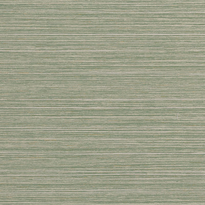TENAYA WIDE WIDTH - Sage