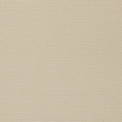 TALUK SISAL WIDE WIDTH - Light Taupe