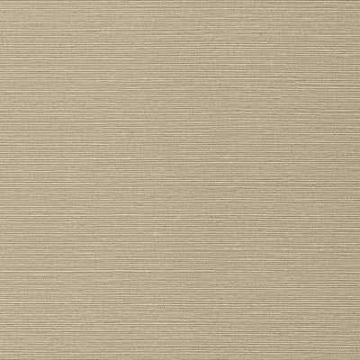 TALUK SISAL WIDE WIDTH - Mushroom