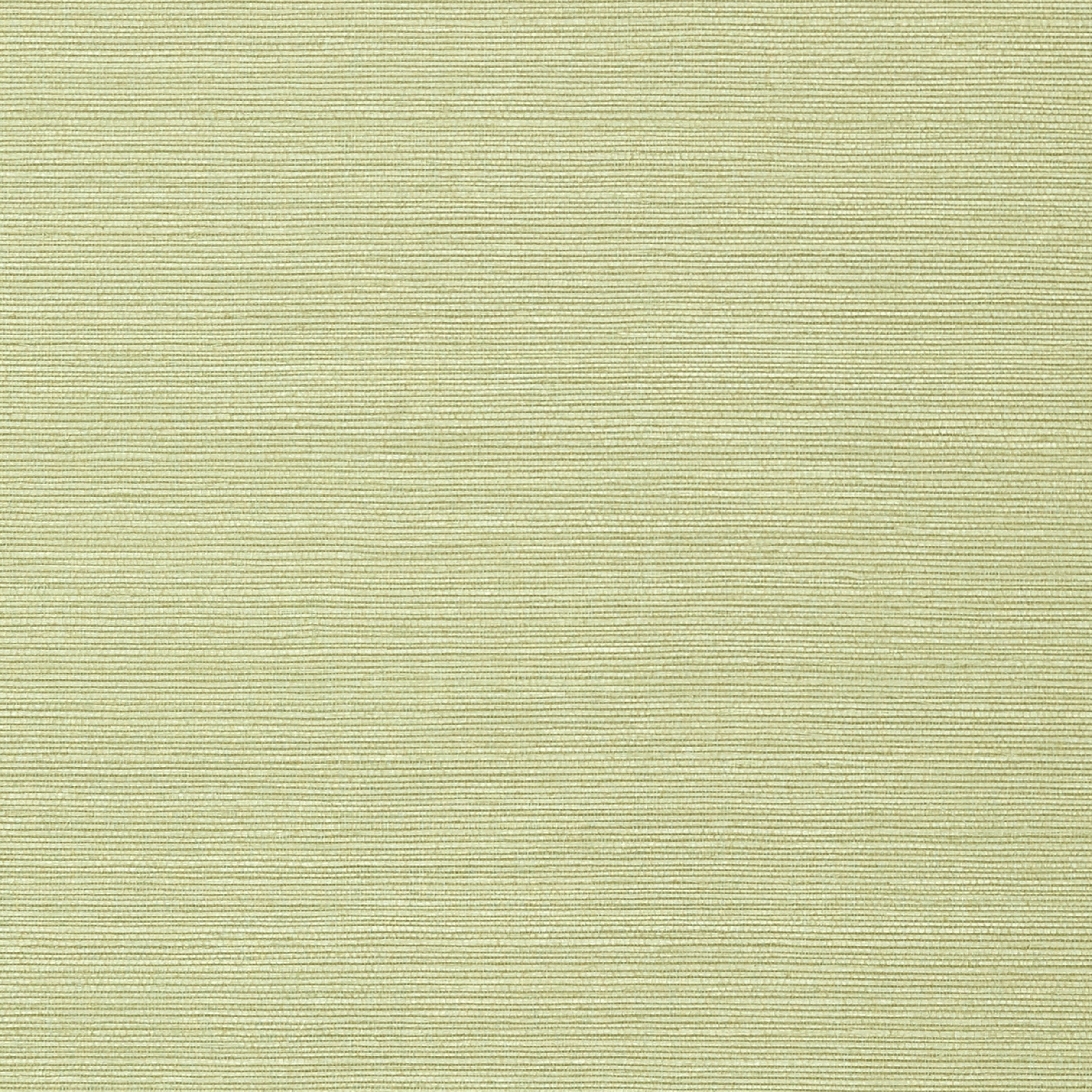 TALUK SISAL WIDE WIDTH - Willow