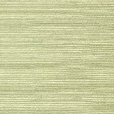 TALUK SISAL WIDE WIDTH - Willow