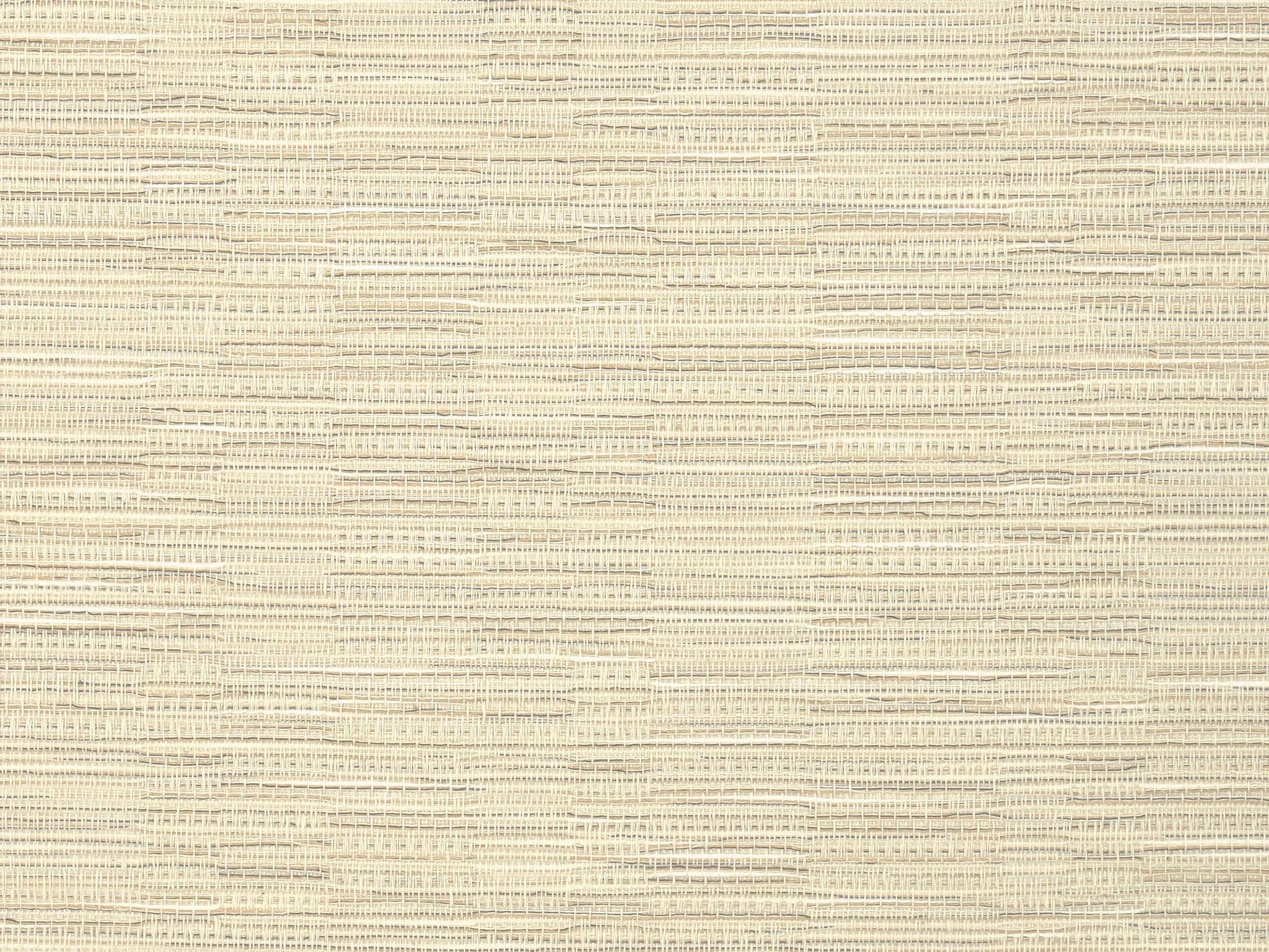Sofia Celadon - Unis Intemporels