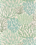 Acropora Opale - Les Dessins 7