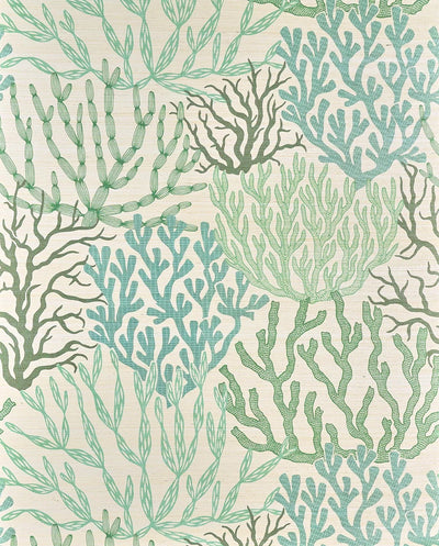 Acropora Opale - Les Dessins 7