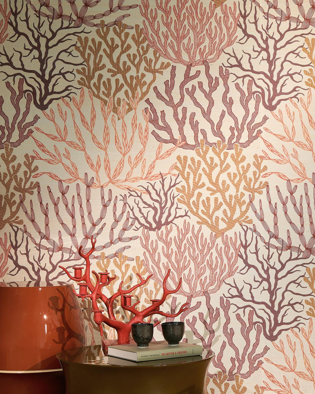 Acropora Corail - Les Dessins 7