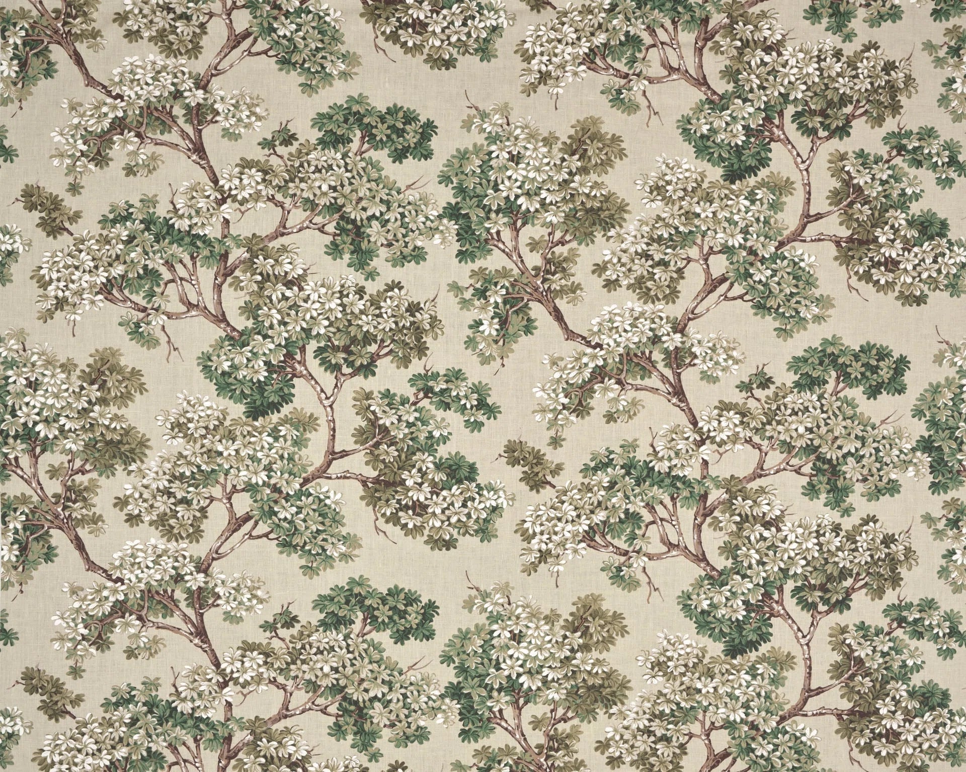 Courtine Vegetal - Jardin À La Française