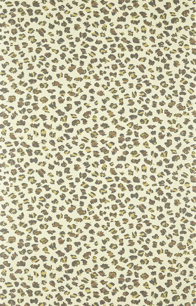 Ceylan Beige - Carnet De Voyage