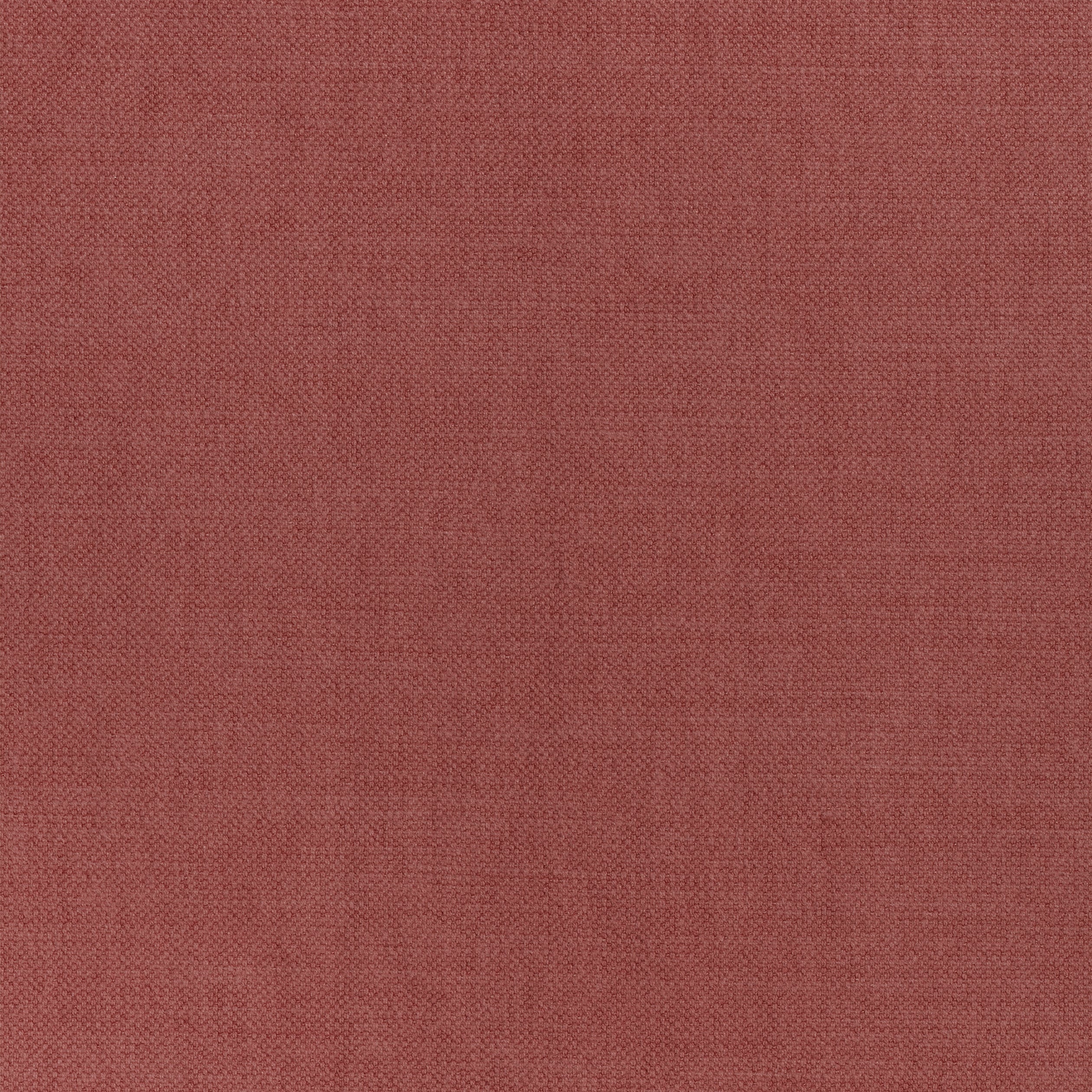 PRISMA - Cranberry
