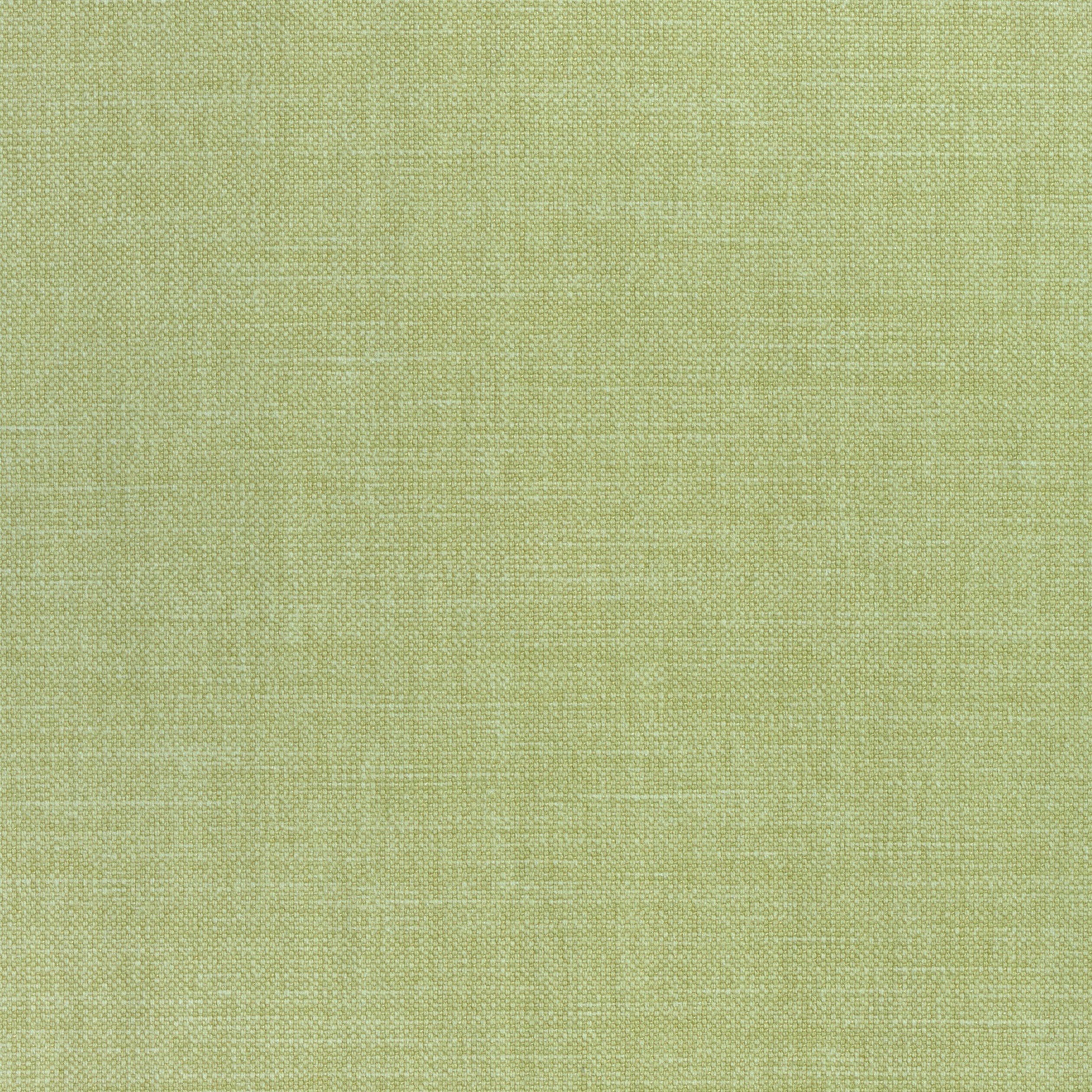 PRISMA - Lemongrass