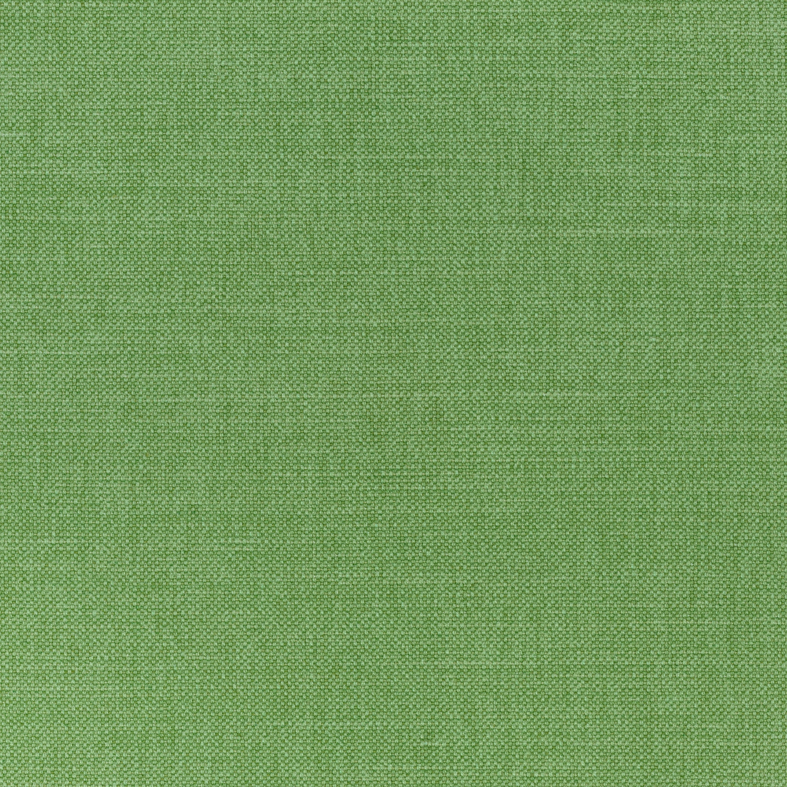 PRISMA - Grass