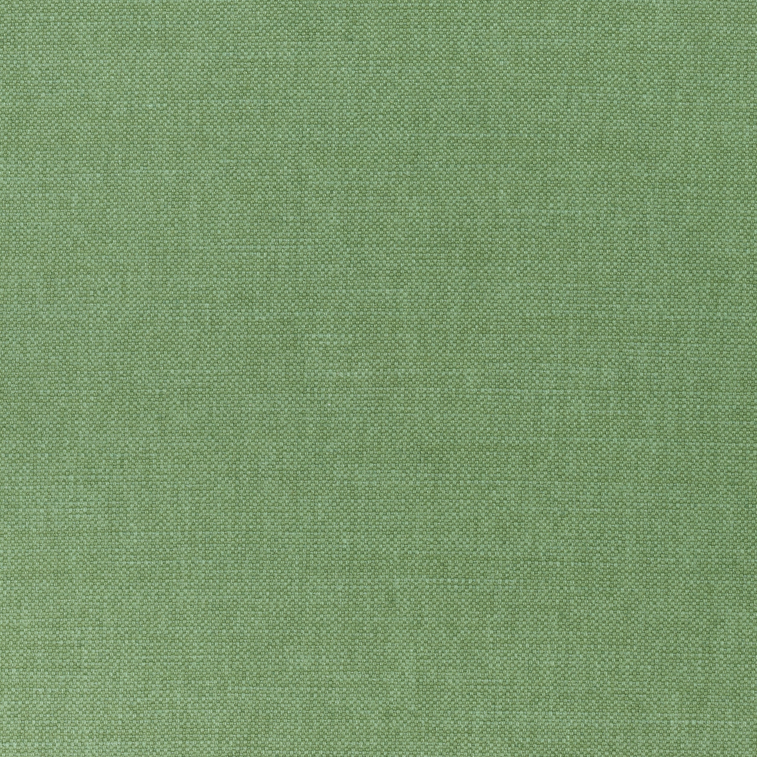 PRISMA - Fern