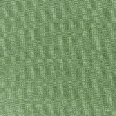 PRISMA - Fern
