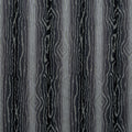 TRADUZIONE - Ebony