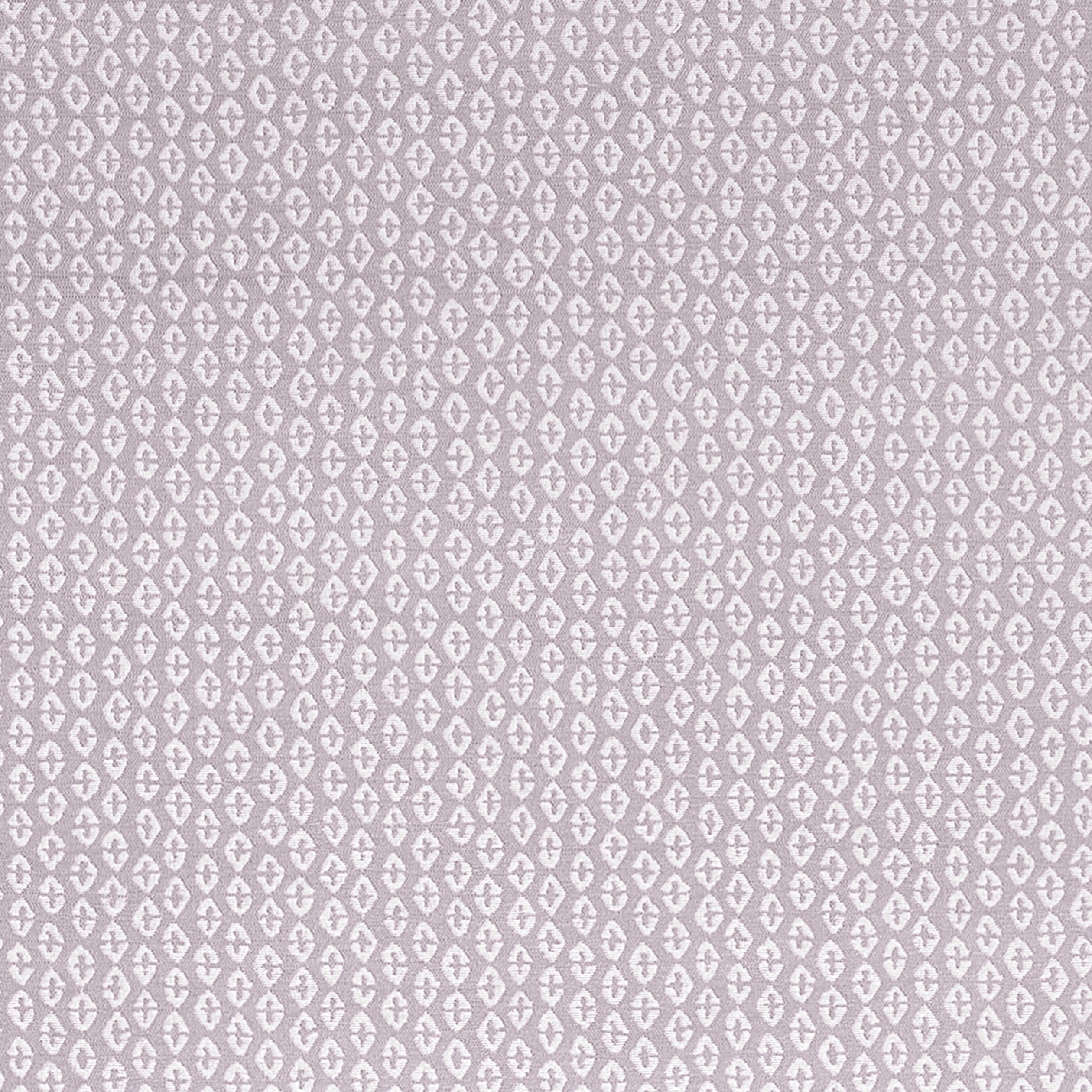 PERRY - Lilac
