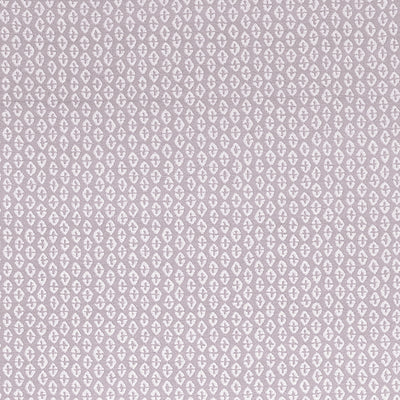 PERRY - Lilac