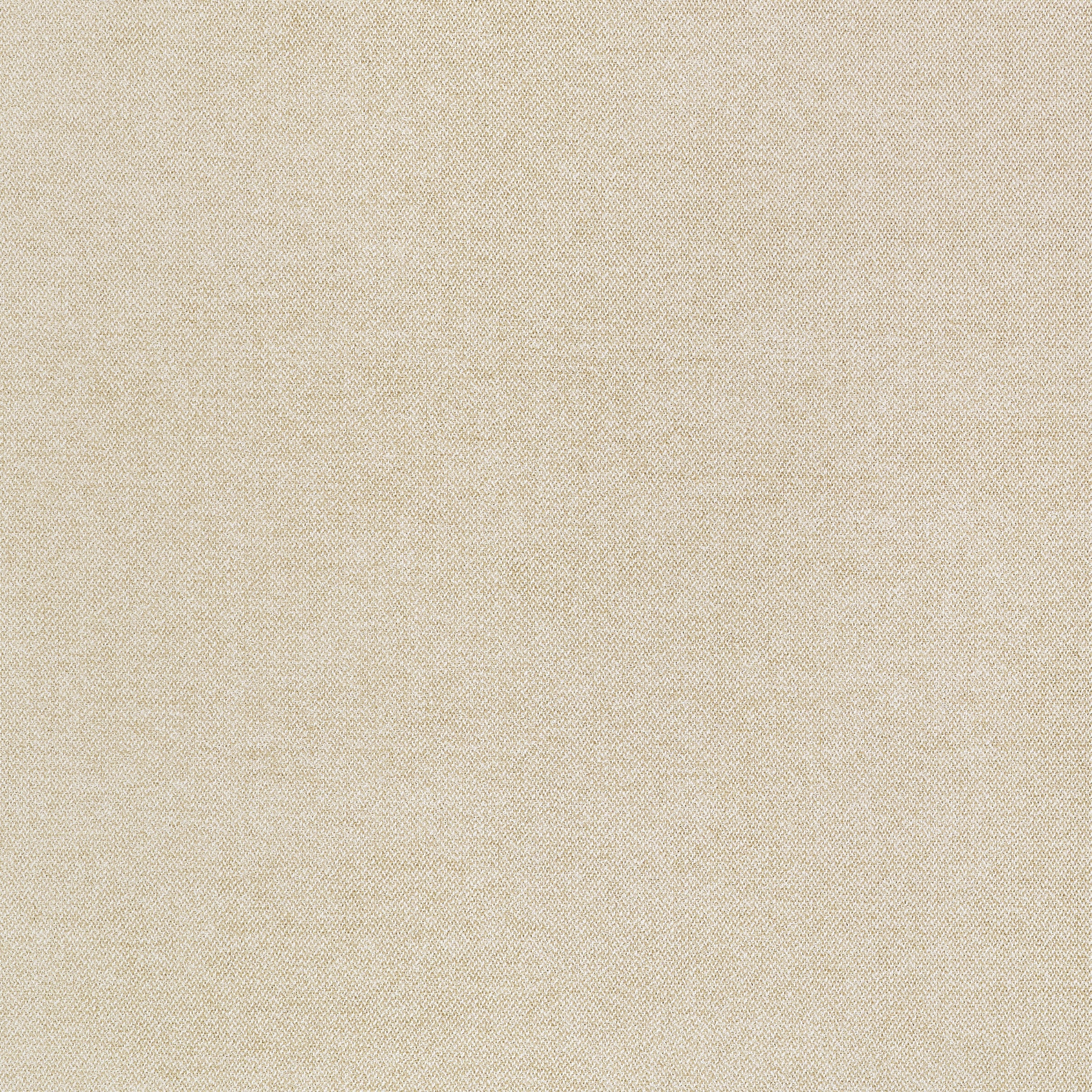 PICCO - Cashmere