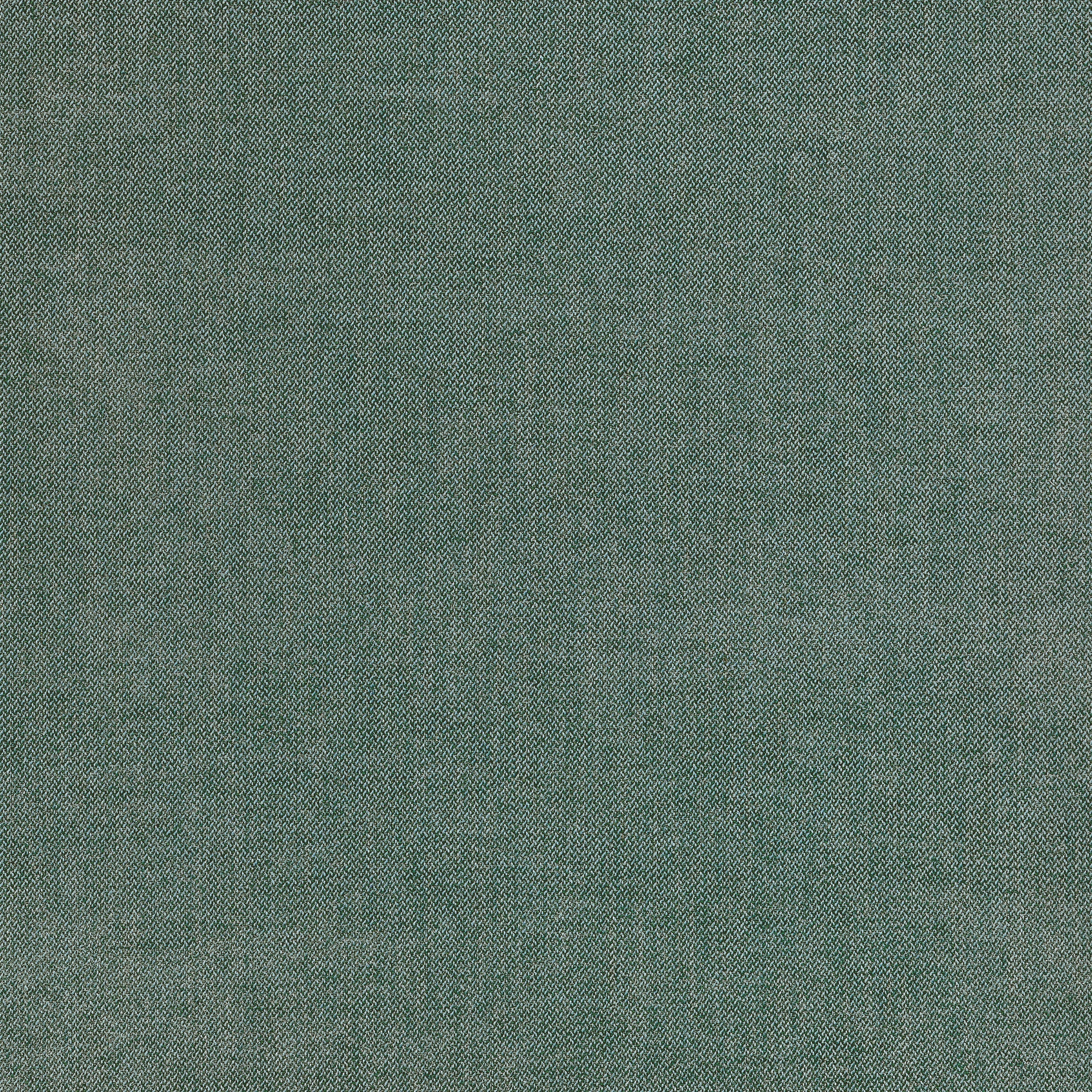 PICCO - Spruce